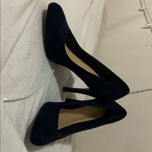 Lauren Conrad Navy blue suede pumps